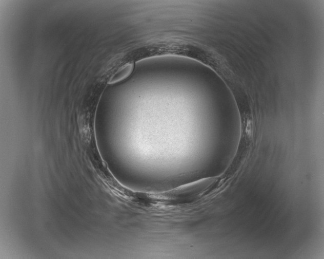 X0000081610771200701151404