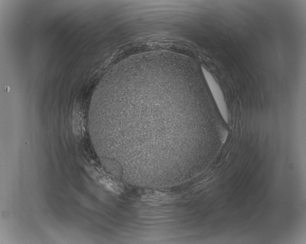 X0000081610772200701151404