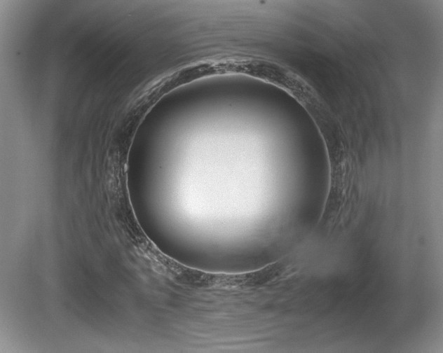 X0000081610773200701151404