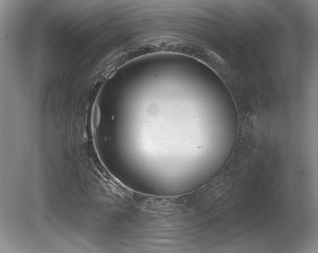 X0000081610774200701151404