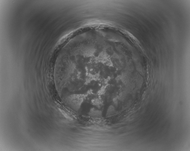 X0000081610775200701151404