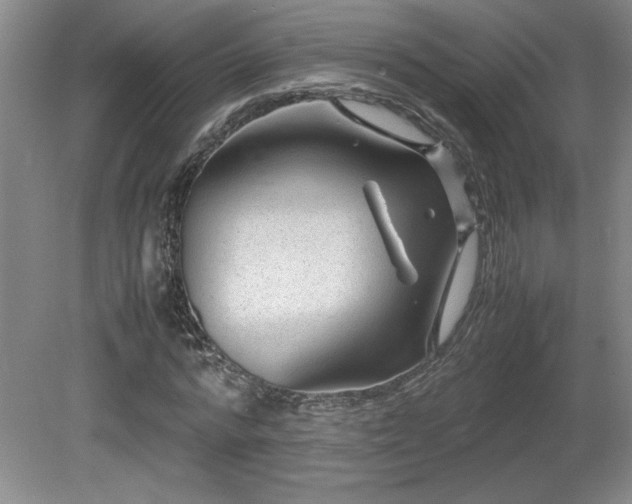 X0000081610776200701151404