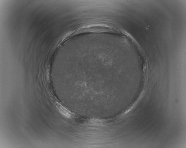 X0000081610777200701151404