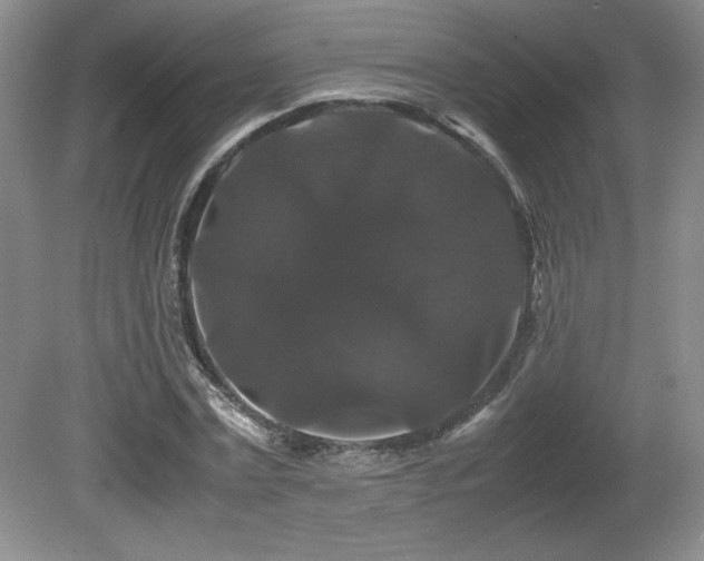 X0000081610779200701151404