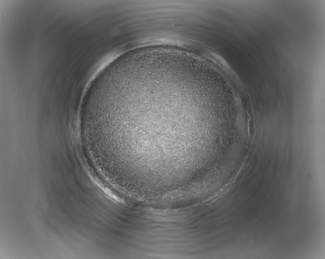 X0000081610780200701151404