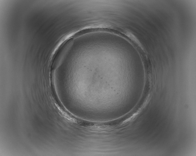 X0000081610781200701151404