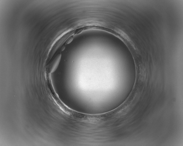 X0000081610782200701151404