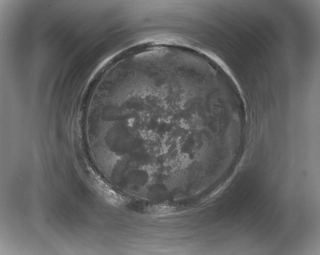 X0000081610783200701151404