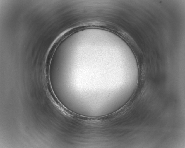 X0000081610784200701151404