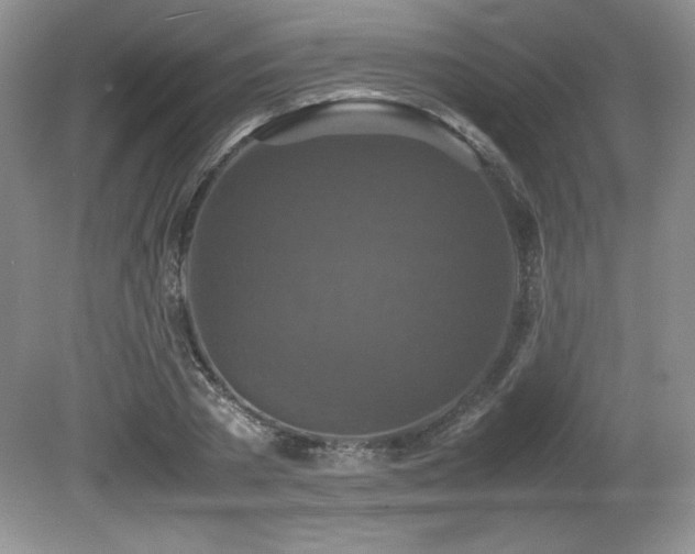 X0000081610785200701151404