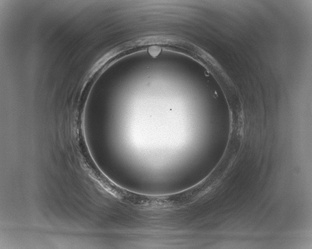 X0000081610786200701151404