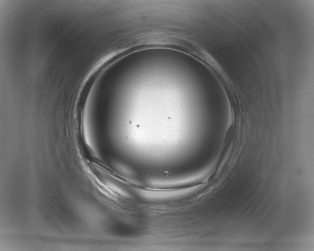 X0000081610787200701151404