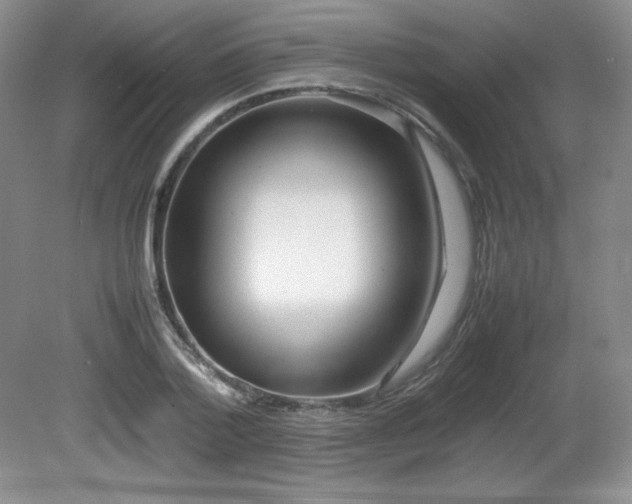 X0000081610788200701151404