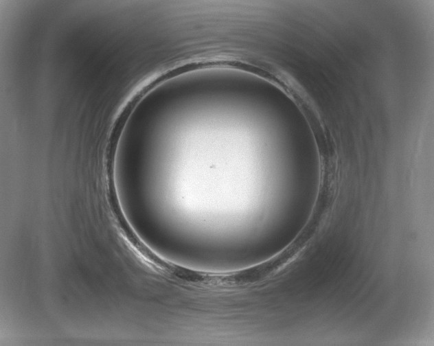 X0000081610789200701151404