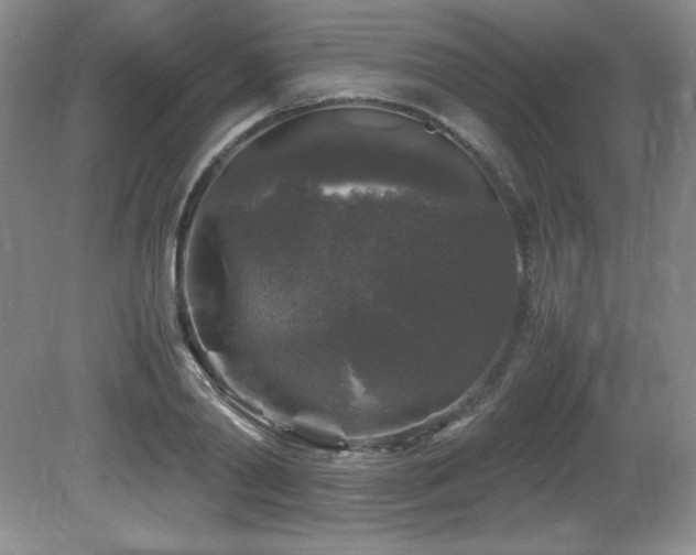 X0000081610790200701151404