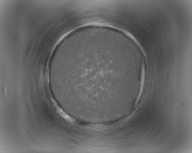 X0000081610791200701151404