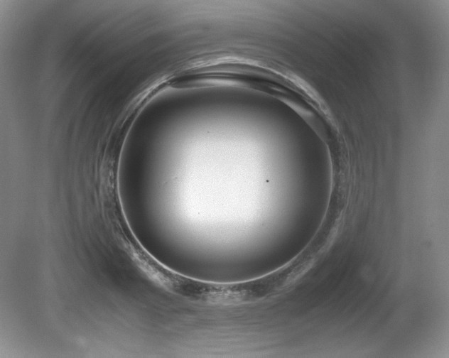 X0000081610793200701151404