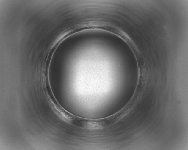 X0000081610794200701151404