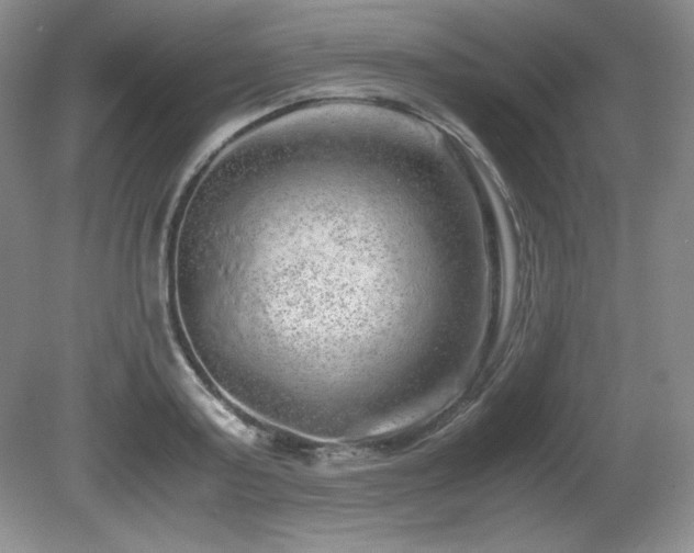 X0000081610795200701151404