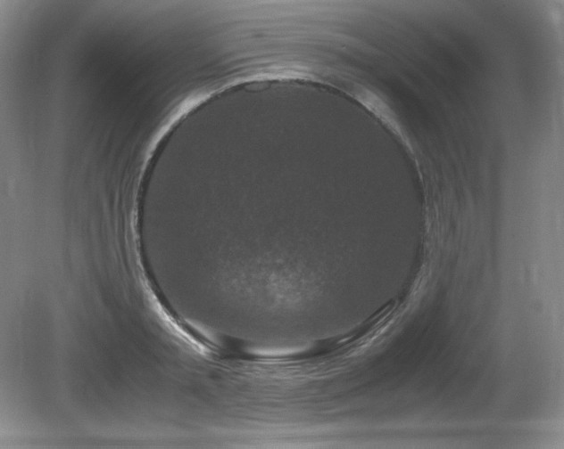 X0000081610797200701151404