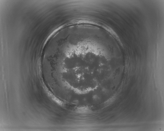 X0000081610798200701151404