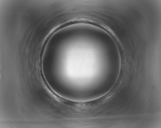 X0000081610799200701151404