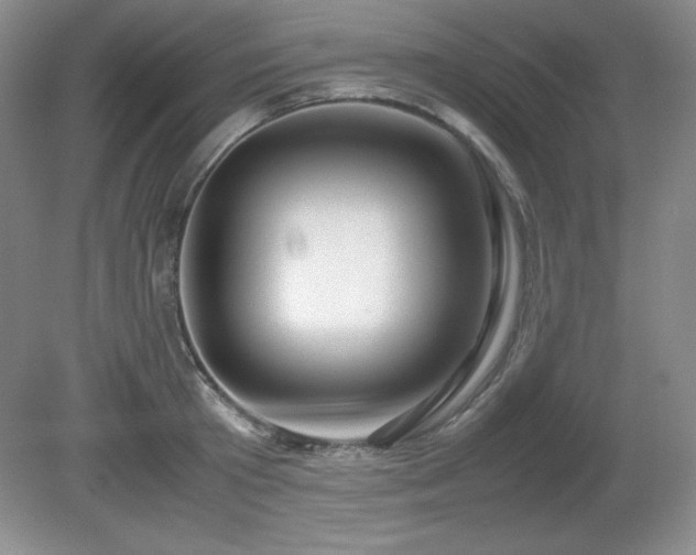 X0000081610801200701151404