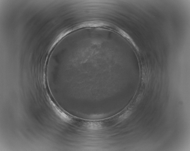 X0000081610802200701151404