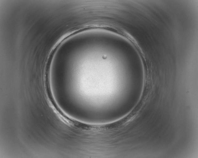 X0000081610803200701151404