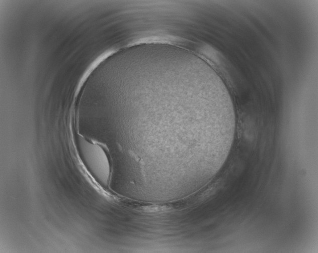 X0000081610804200701151404