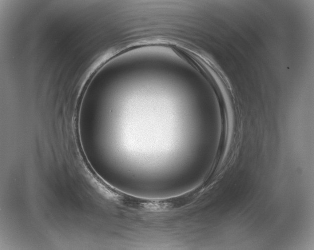 X0000081610805200701151404