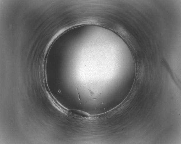 X0000081610808200701151404