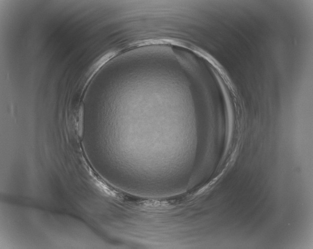 X0000081610809200701151404