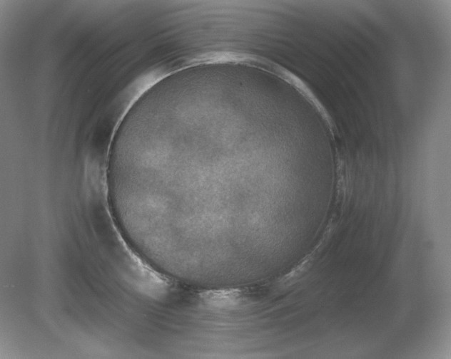 X0000081610810200701151404