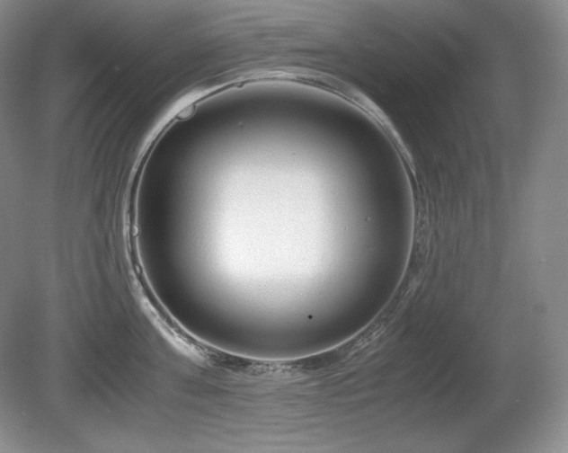 X0000081610811200701151404