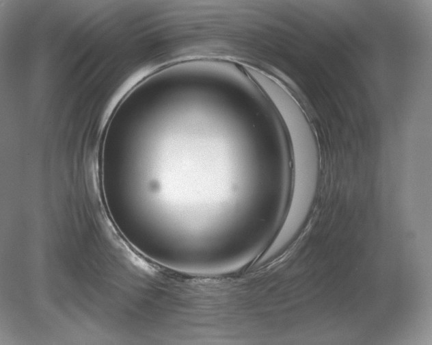 X0000081610812200701151404