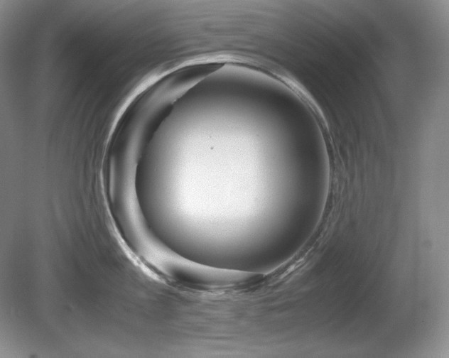 X0000081610813200701151403