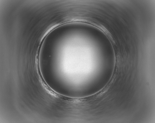 X0000081610814200701151403