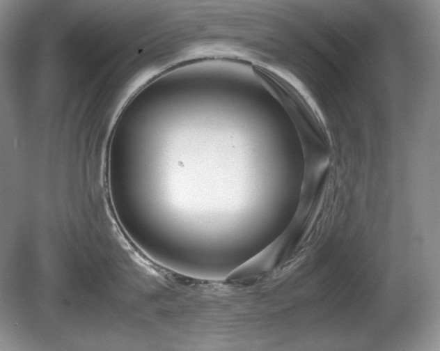 X0000081610815200701151403