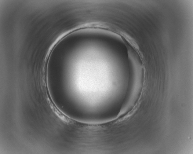 X0000081610816200701151403