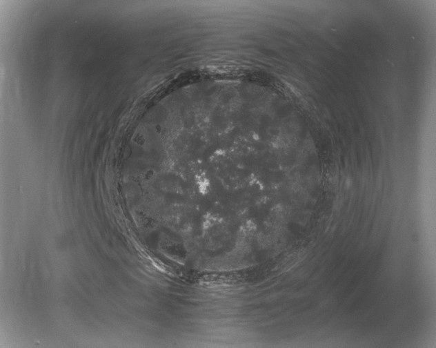 X0000081610817200701151403