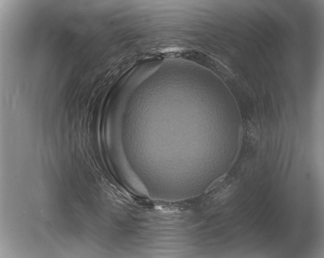 X0000081610818200701151403