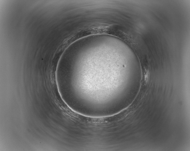 X0000081610819200701151403