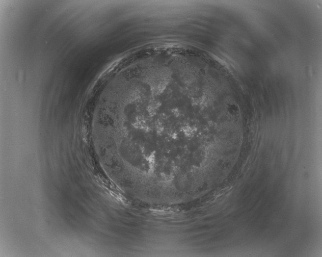 X0000081610823200701151403