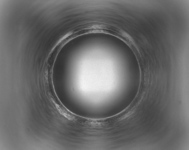 X0000081610827200701151403