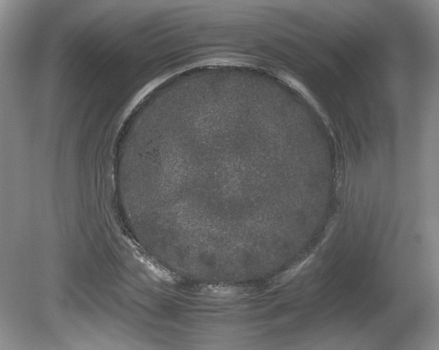 X0000081610829200701151403