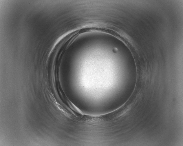 X0000081610830200701151403