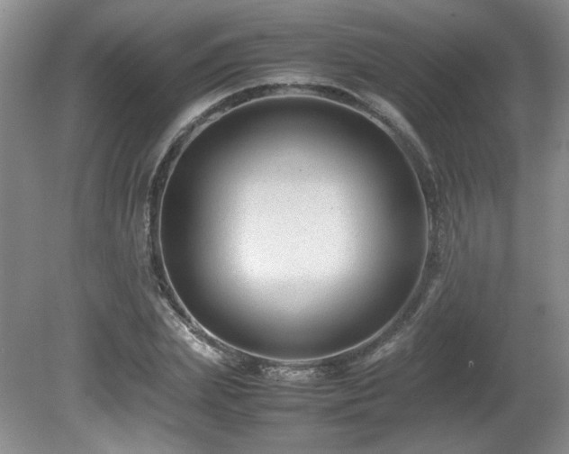 X0000081610831200701151403