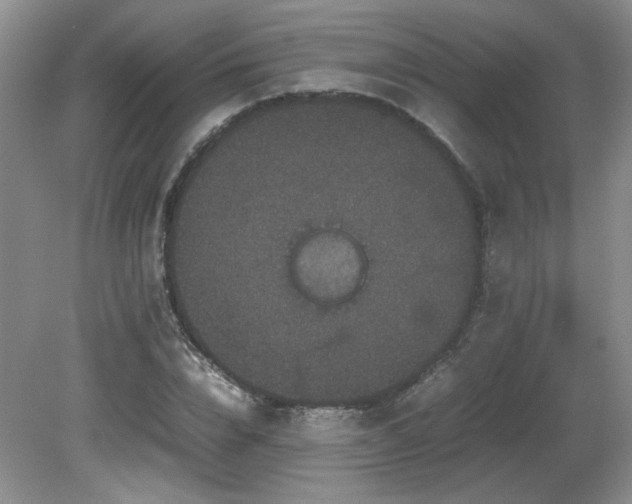 X0000081610832200701151403