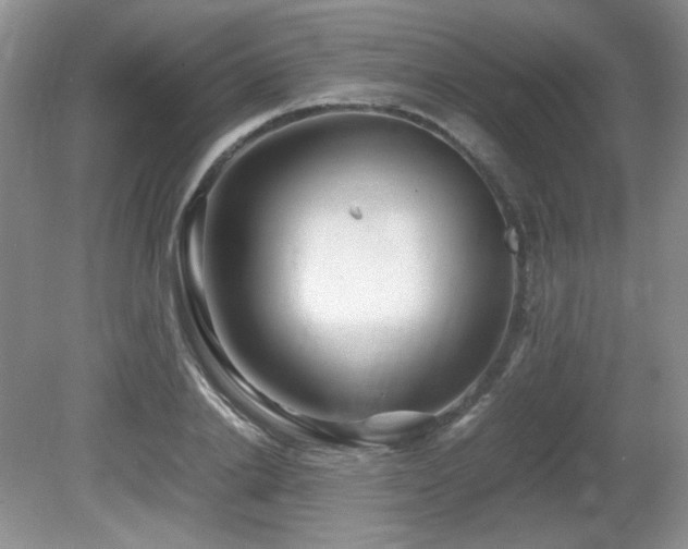 X0000081610838200701151403